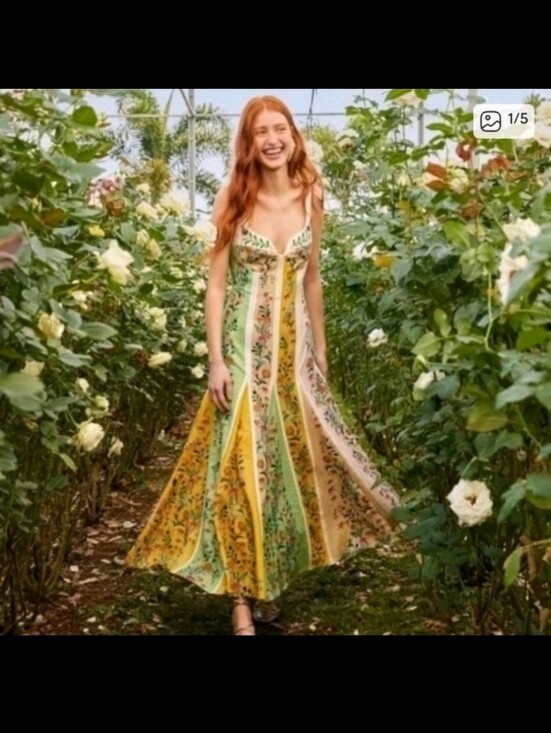 FARM Rio Dresses & Skirts - Farm Rio Delicate Floral Stripes Maxidress